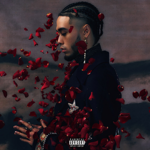 在线免费看黄网站
