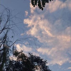 大学篮球体育撸鸡把chinese
