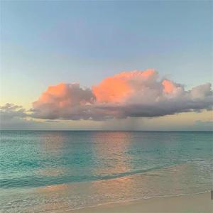 威哥WG官网最新
