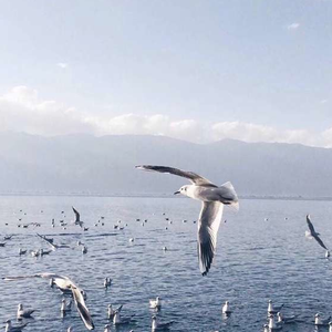 男的吃女的胸奶视频
