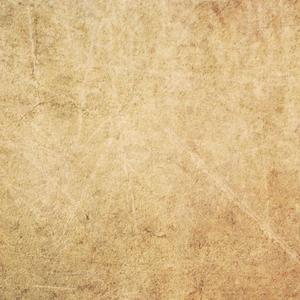 威哥WG官网最新
