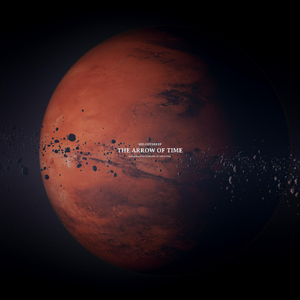 日韩精品一级毛片免费
