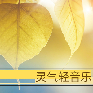 催眠眼镜之孕妇开宫
